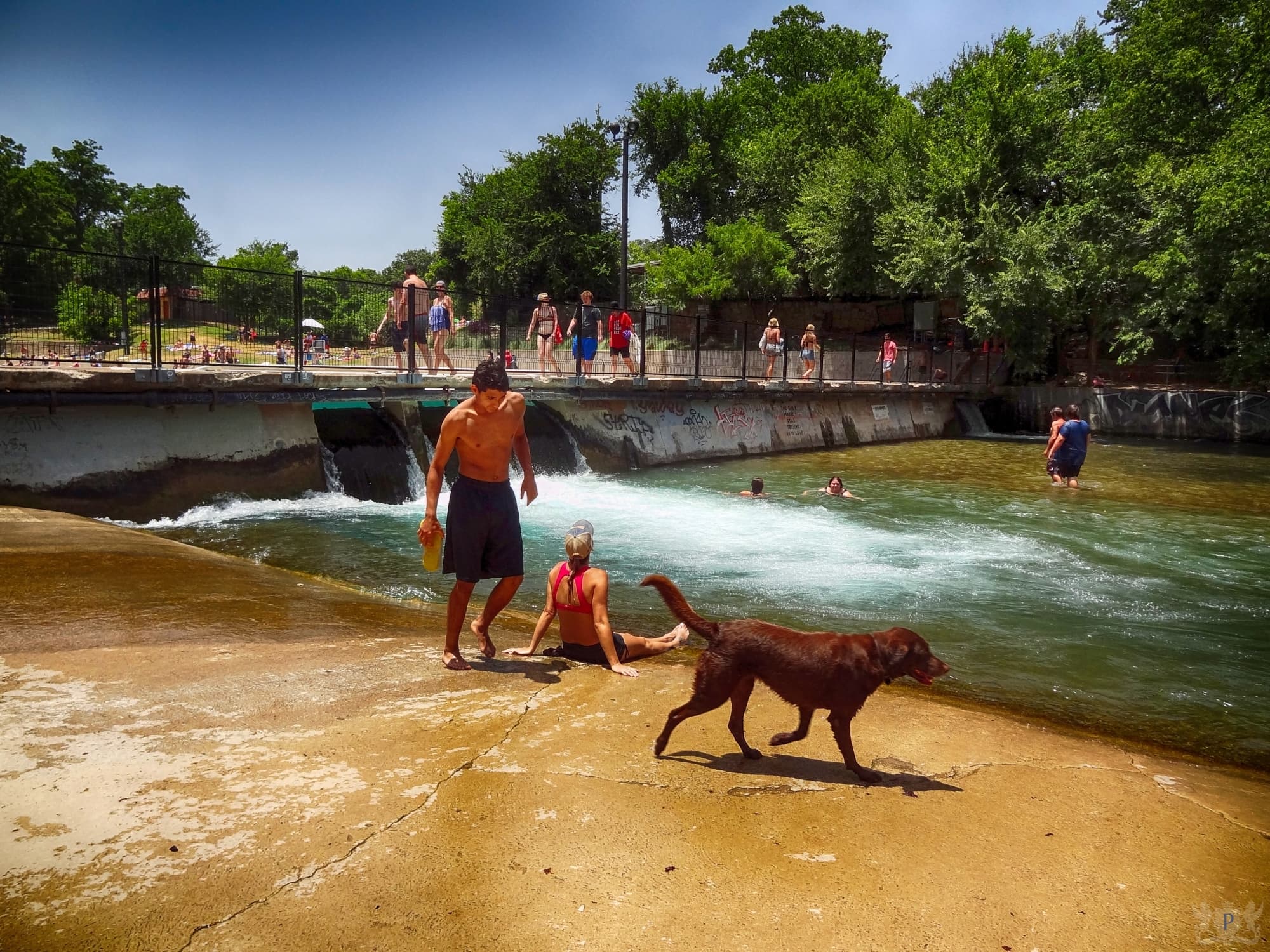 Visit Barton Springs
