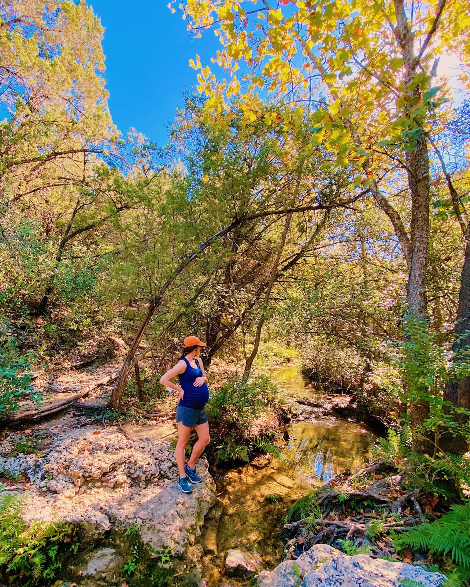 Visit Wild Basin Wilderness Preserve